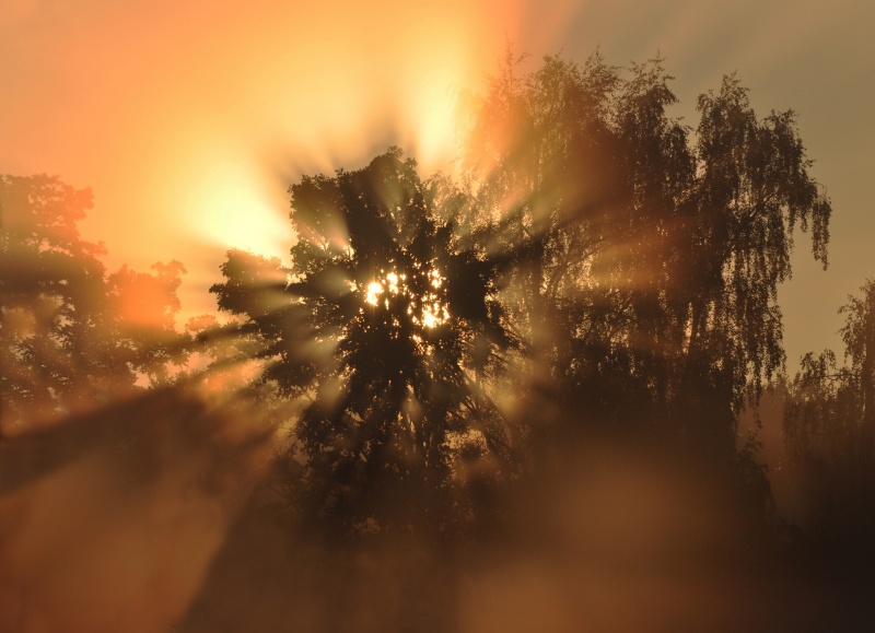 Cолнцеворот