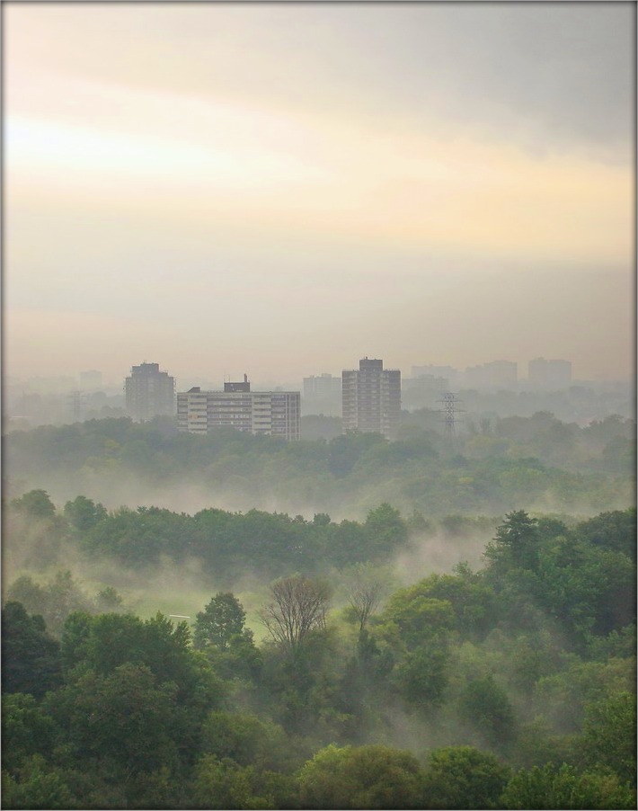 ...эти летние дожди...