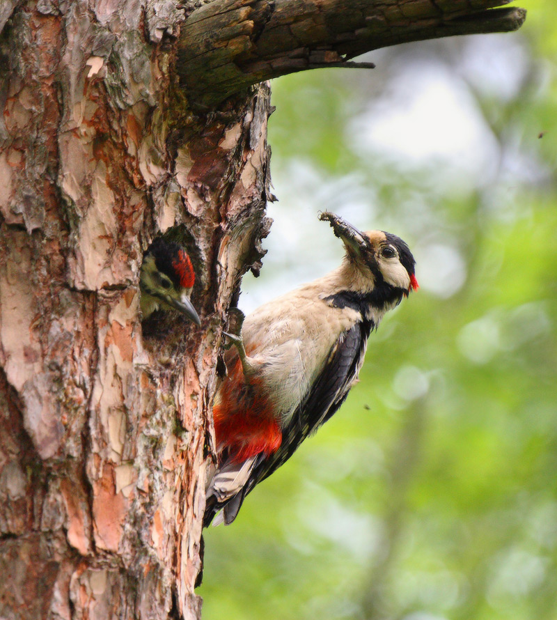 всё лучшее - детям!