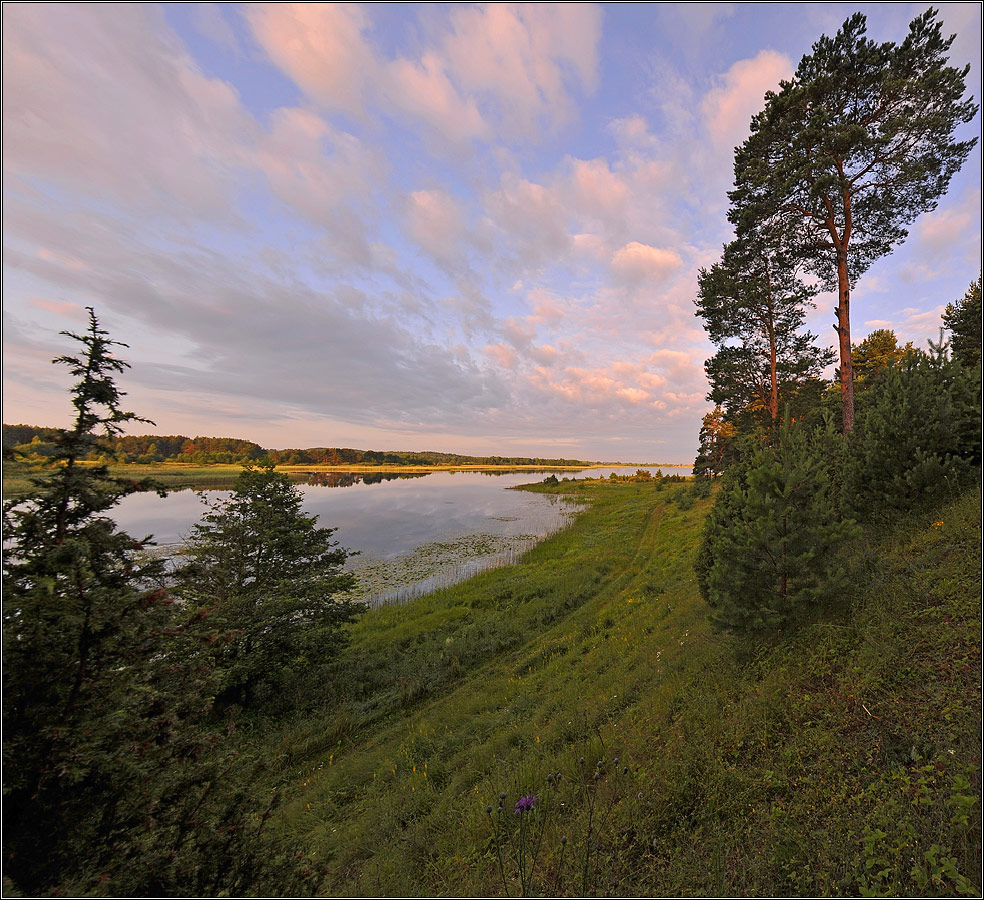 Утреннее  время