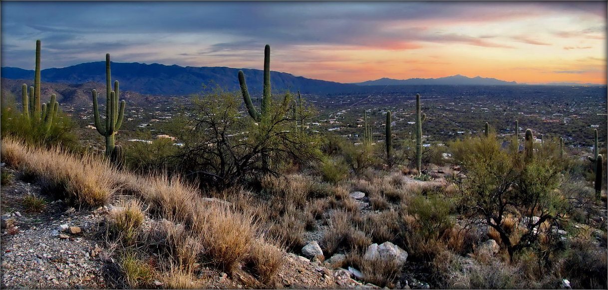 Дабранач, Туссон