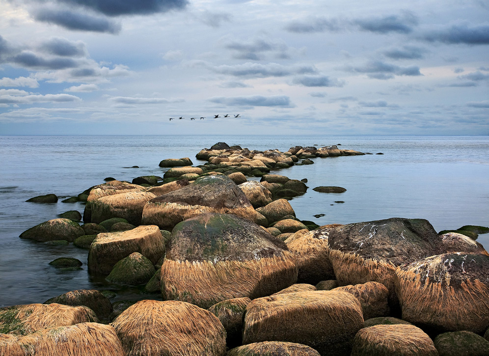 Про бородатые камни.