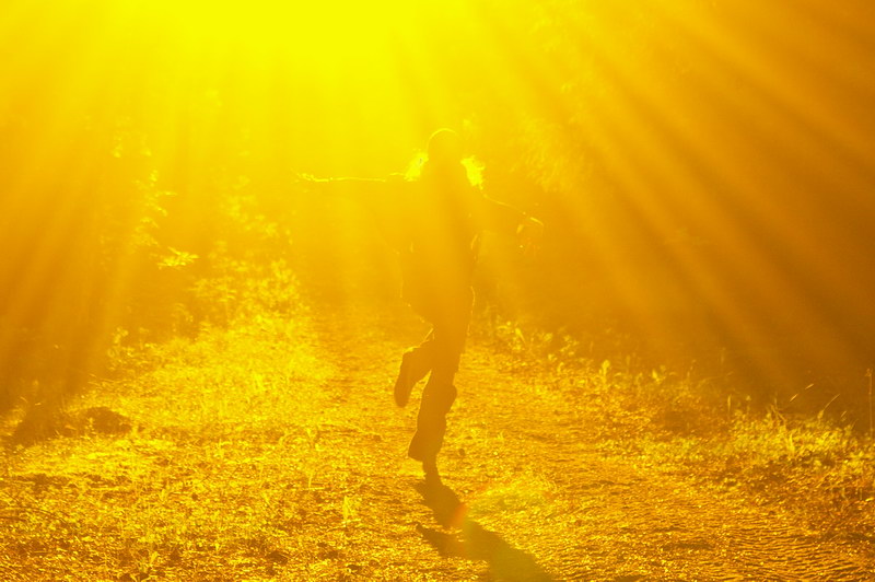 пьющая солнце