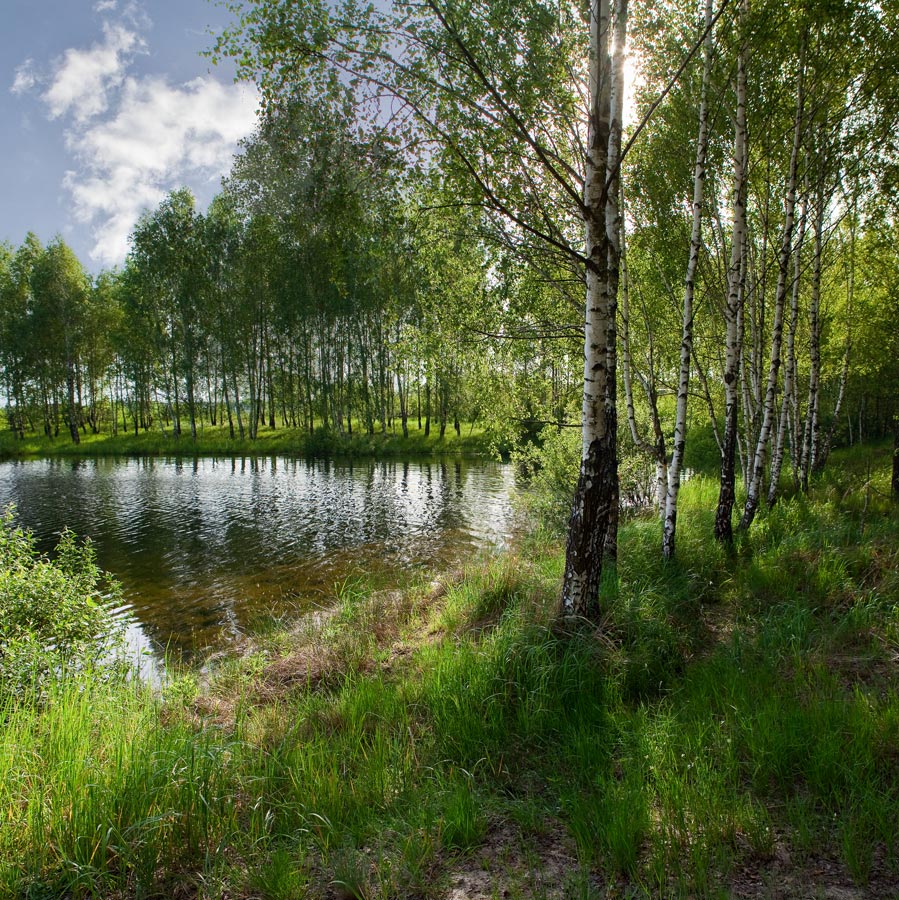 ОСТРОВОК МОЛОДОГО ЛЕТА