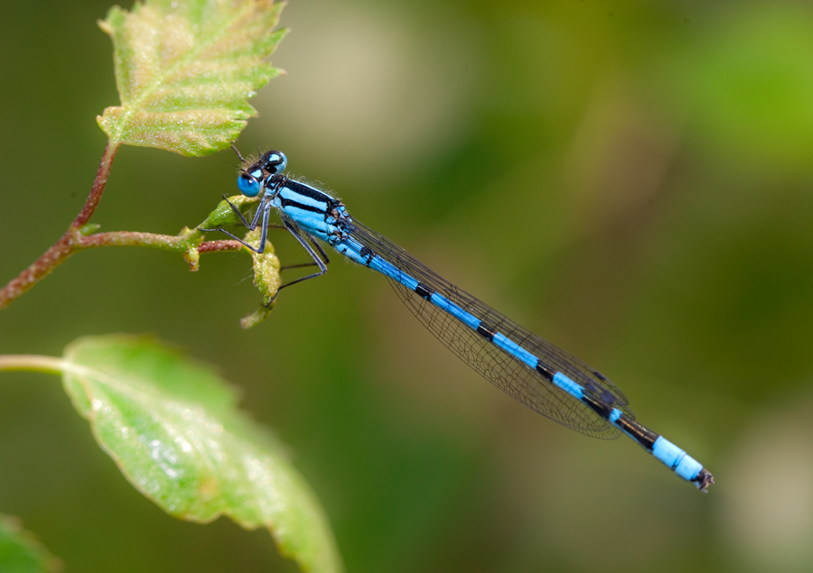Я ОГЛЯНУЛСЯ...