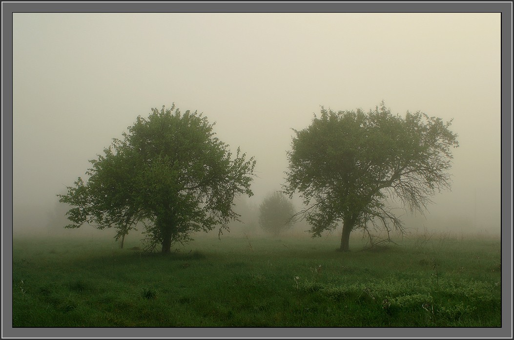 Утро на двоих