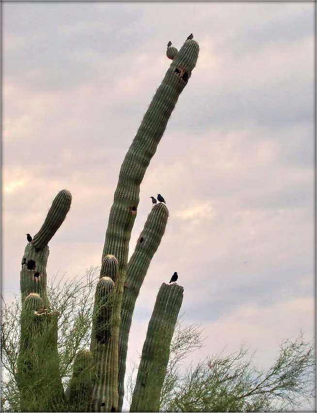 па пальцах пералічыць