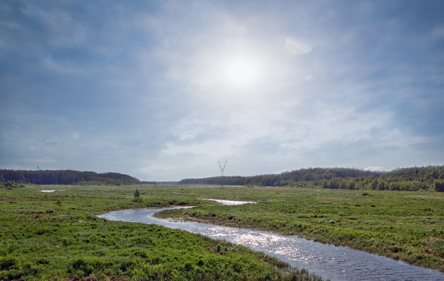 НАСЫЩАЯСЬ СОЛНЦЕМ