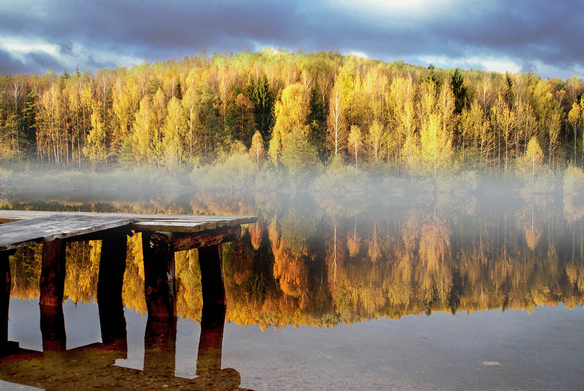 стоял туман