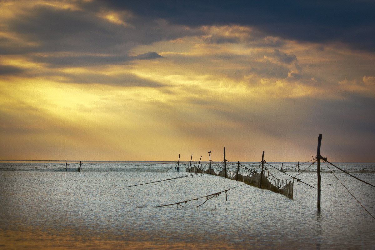 Утренняя с сетями