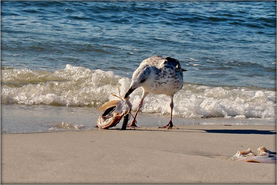 последний дюйм