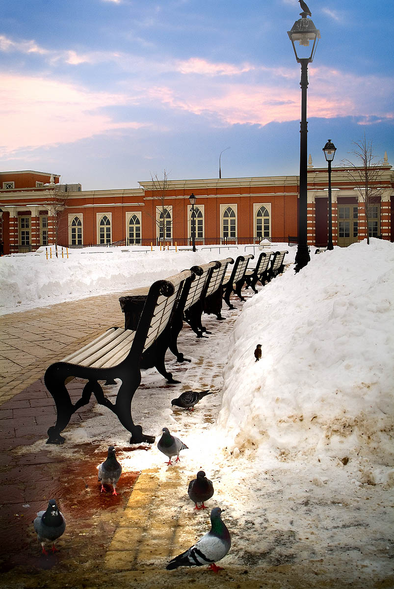 маленький воробей