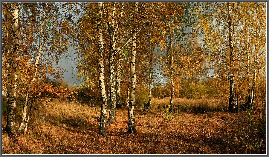 Осенний мотив