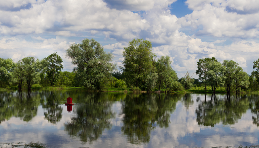 ДНЕВНОЙ СОН II