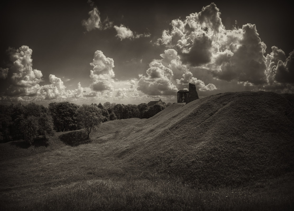 |  Новогрудская замковая   |