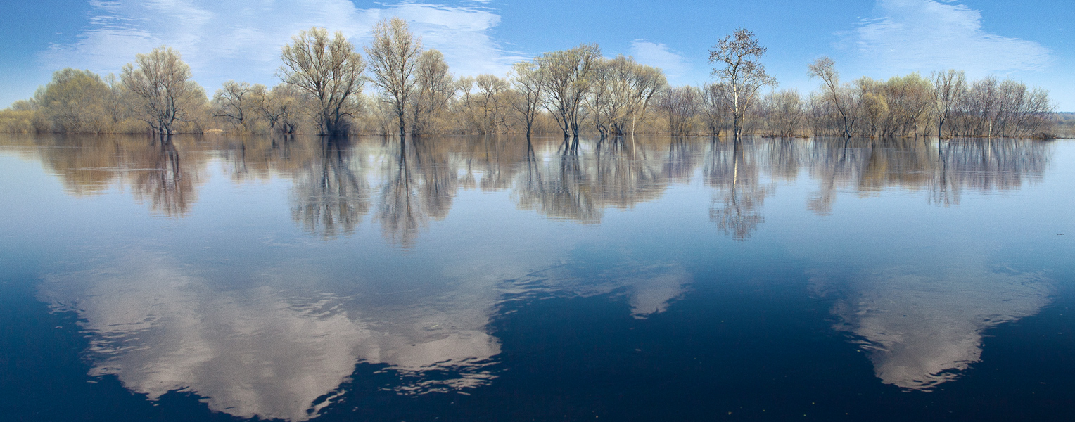 ВЕСНЫ ТВОРЕНИЕ