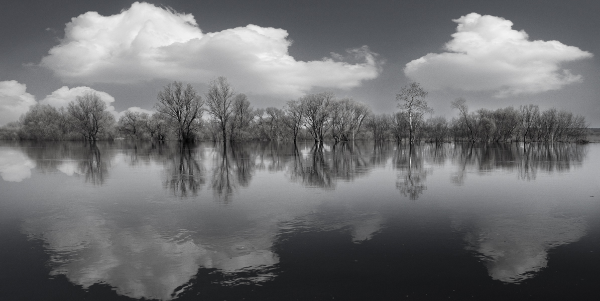 ДНЕВНОЙ СОН III