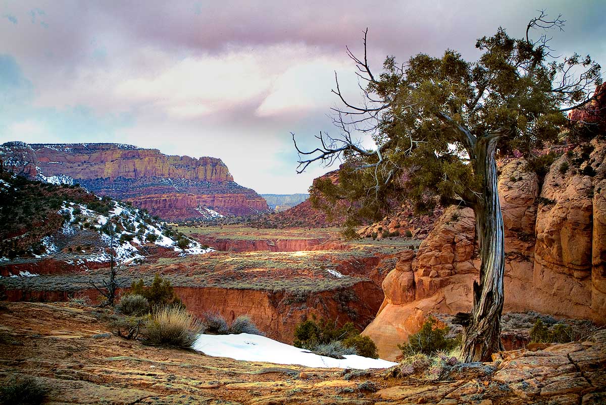 розовая страна