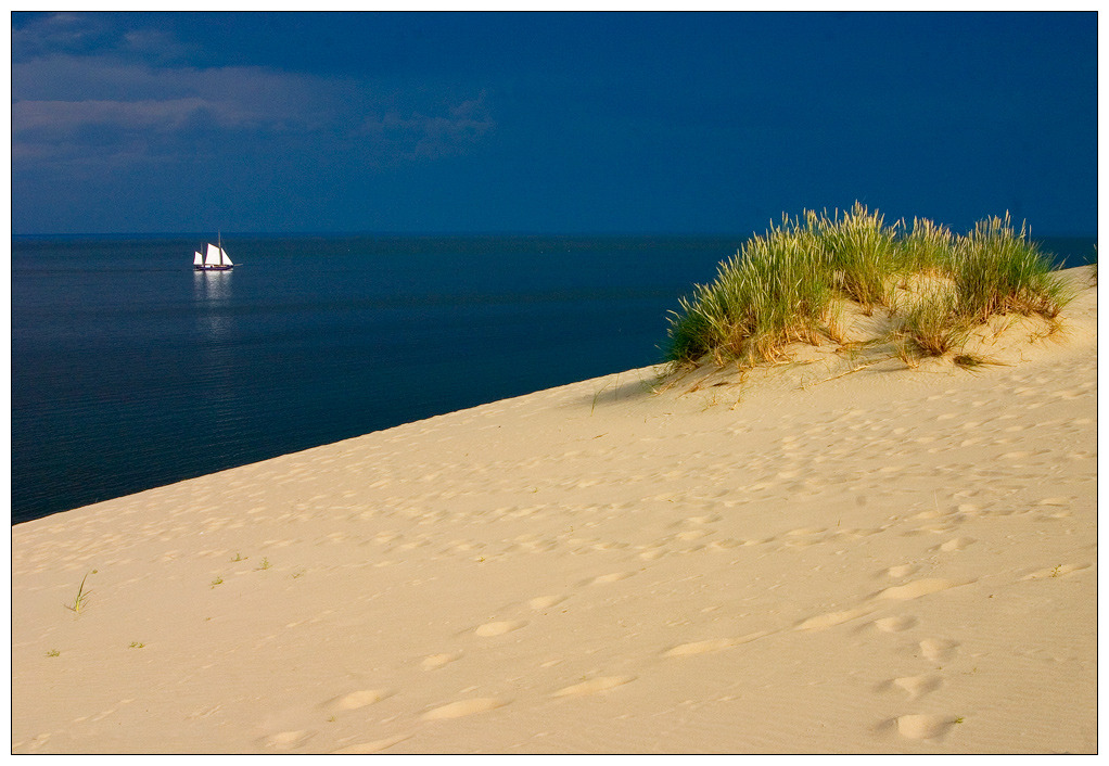 Белеет одинокий