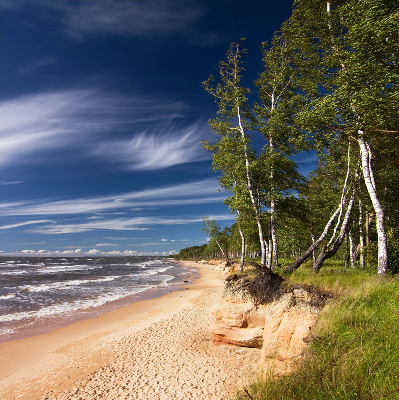 Западный ветер