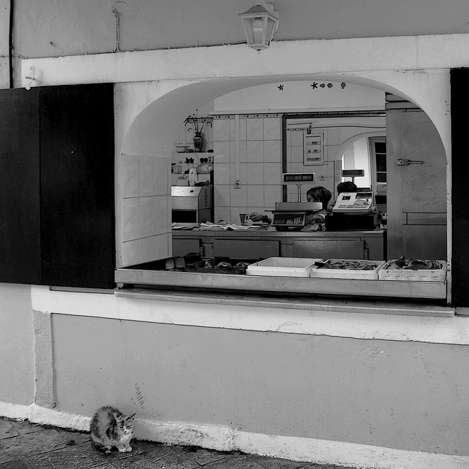 У рыбной лавки