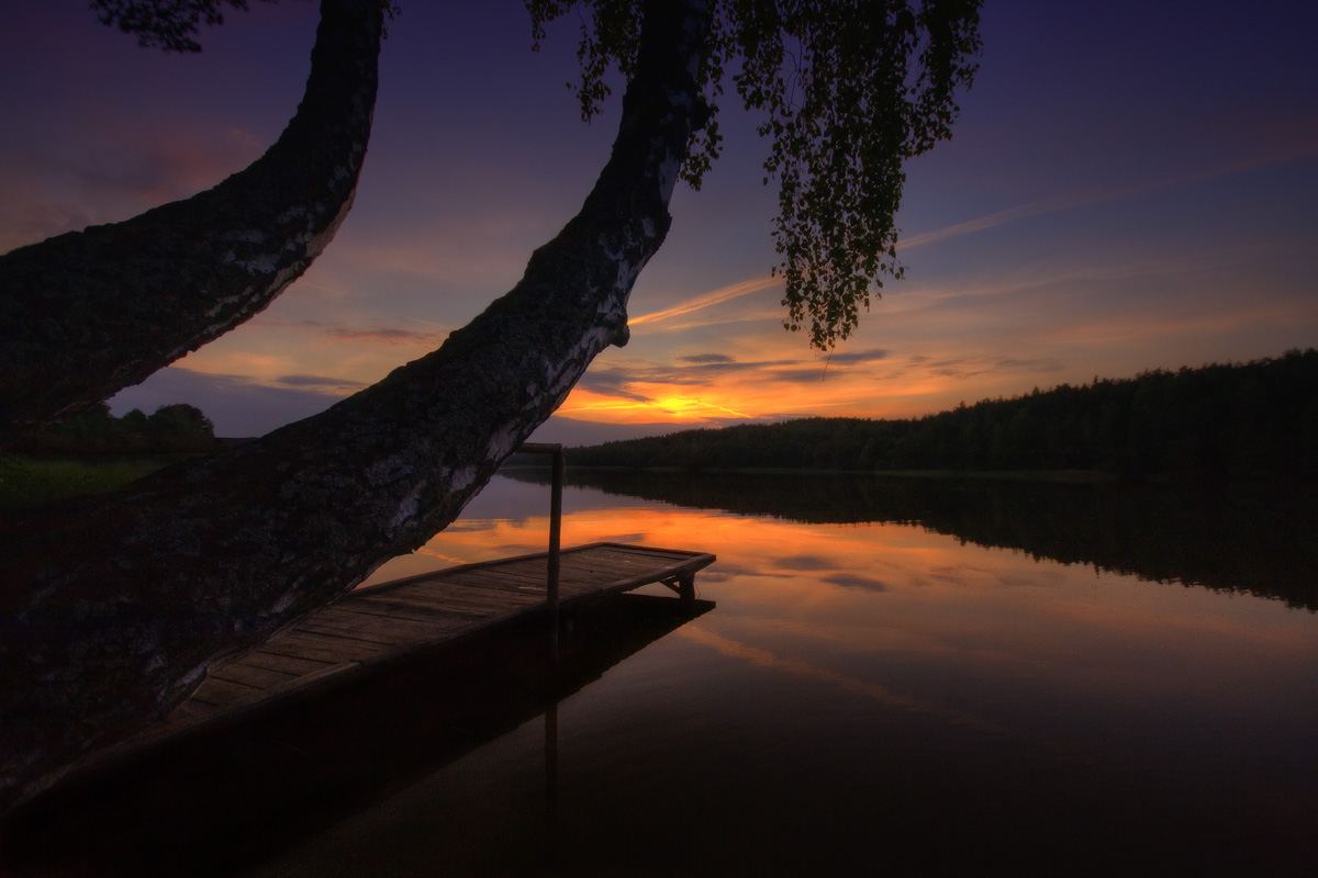 |   Березовый закат   |