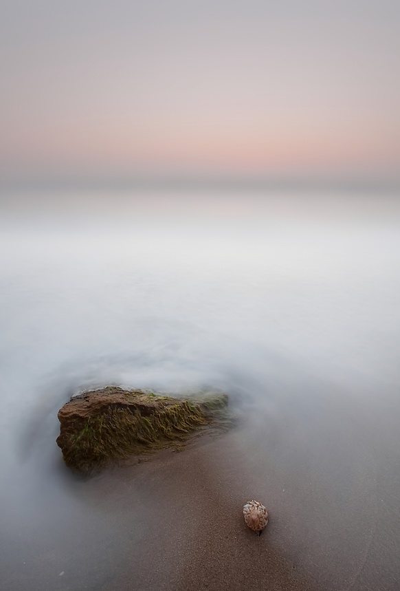 Good morning, sweetie... .