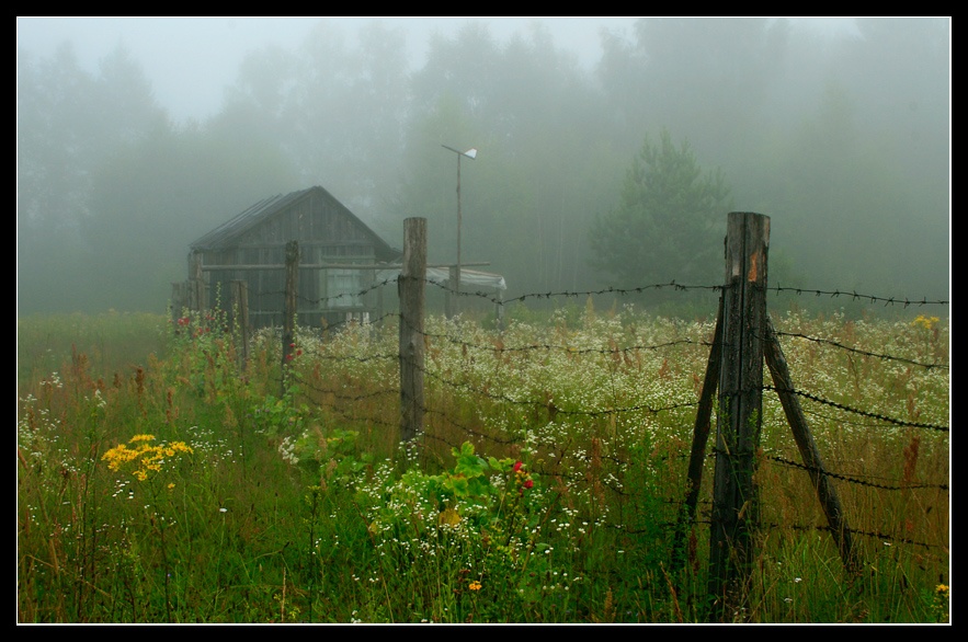 Позабыто, позаброшено