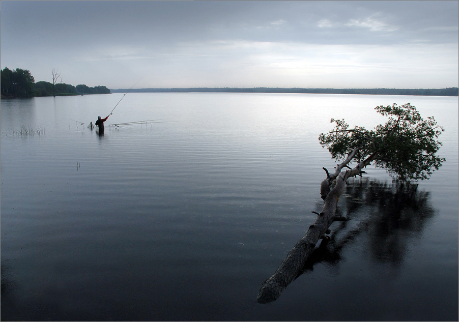 утренний дозор