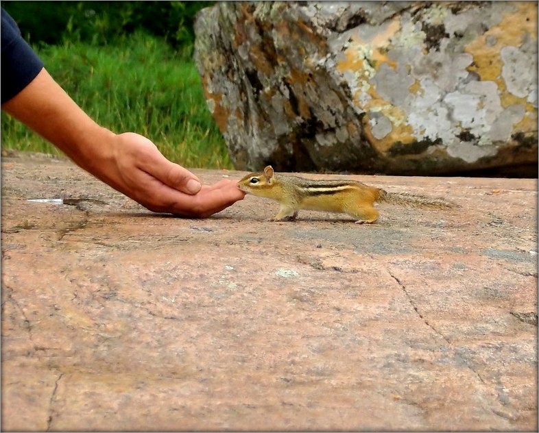 Таможенный союз ....