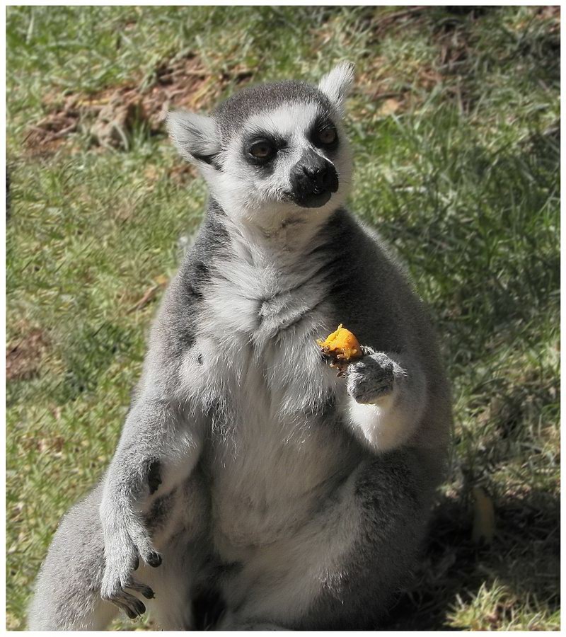 ВКУСНОТИЩА!!!