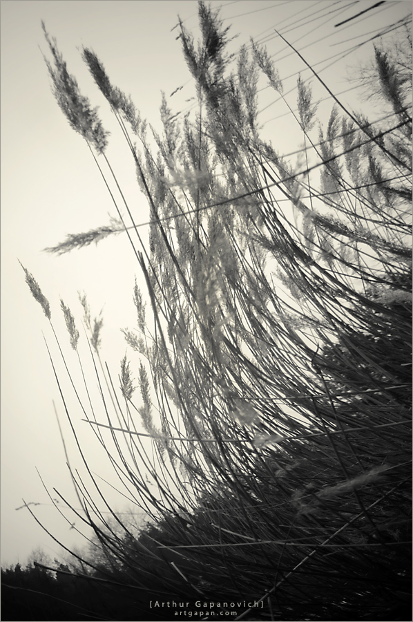 [ Way to the Light ]