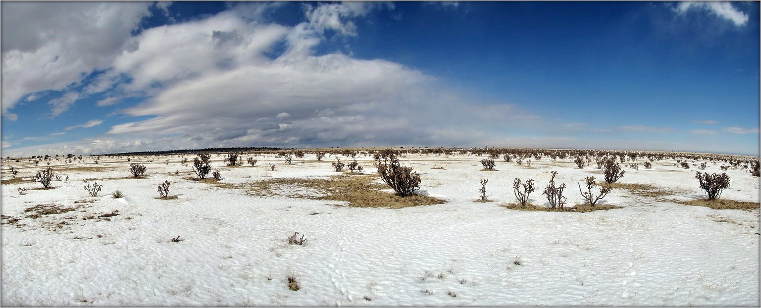 несьпякота