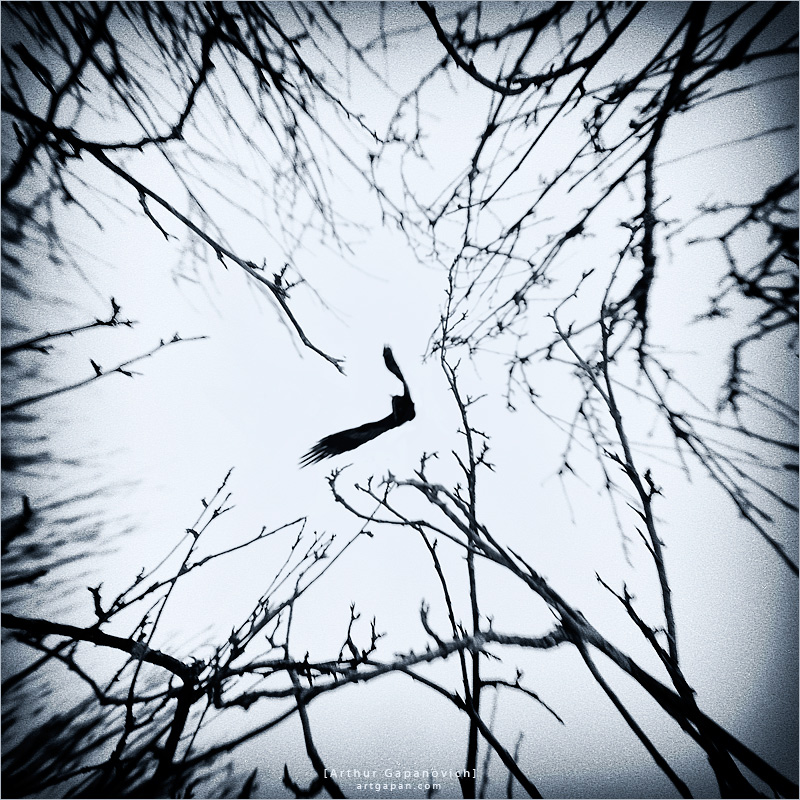 [ Escape to the light ... ]