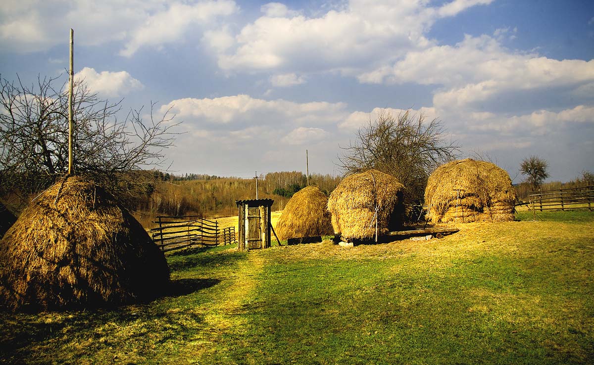 средь стожков
