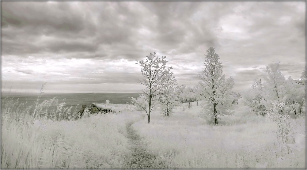 зімні сон у летнюю ноч