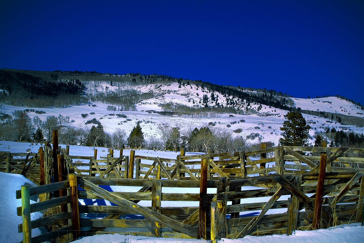 заборы-заборы