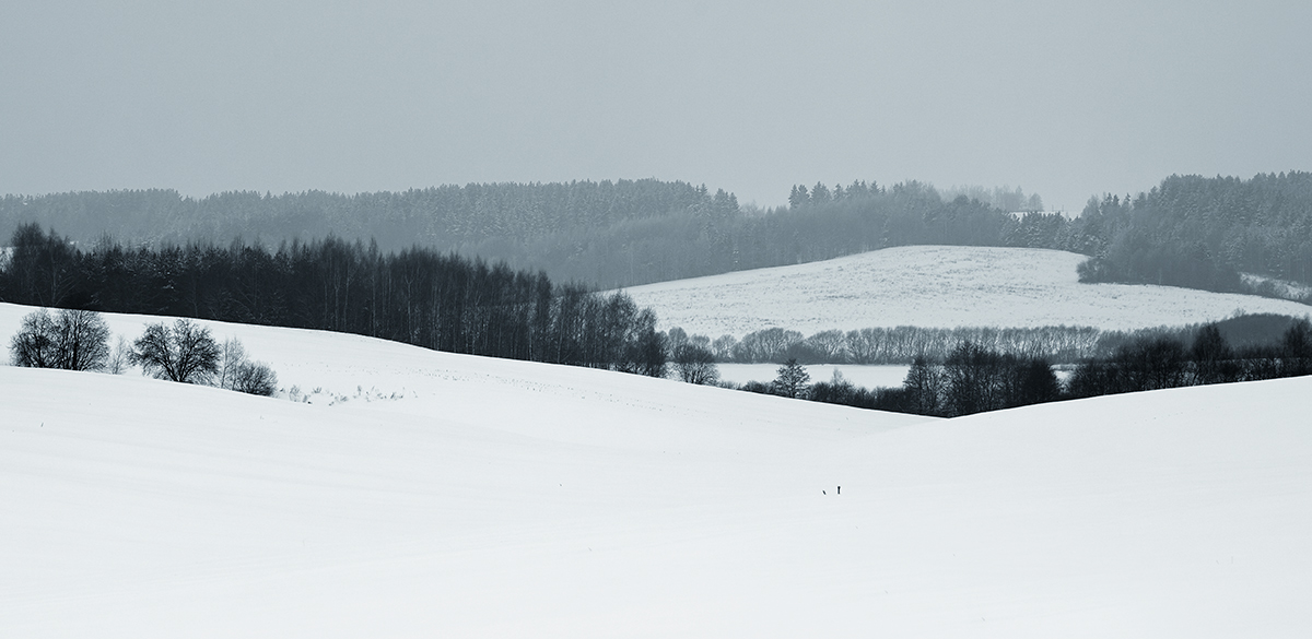 Прохладная перспектива