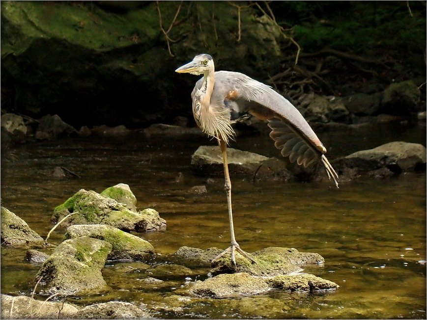 балет.. балет.. балет..