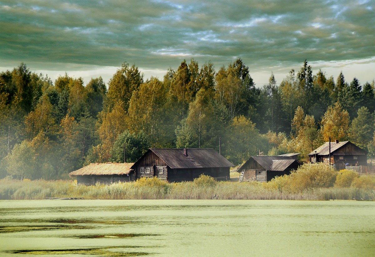 тихая жизнь