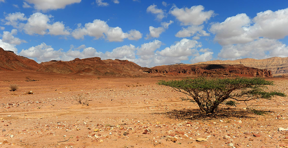 Теплая перспектива