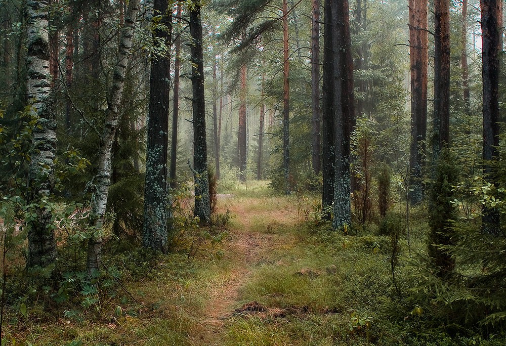 Предлагаю пройтись...