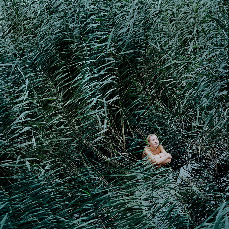 тихое место