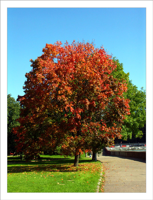 Первый костёр сентября
