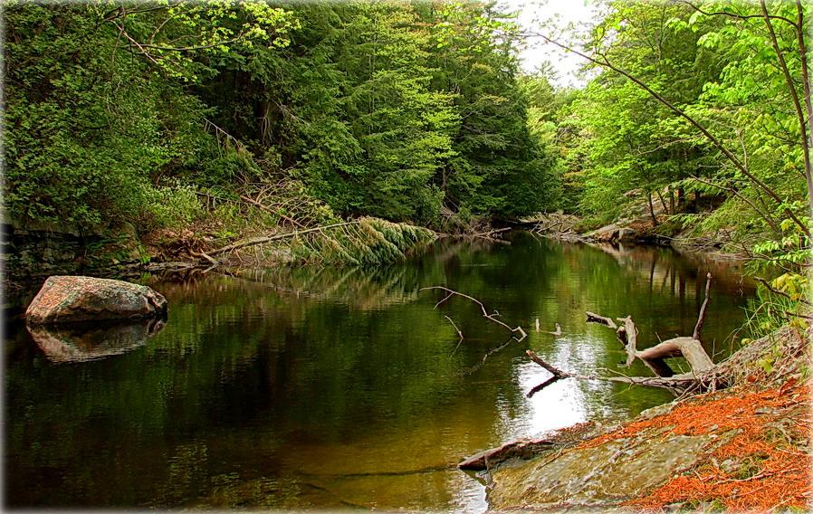 шэпат безназоўнай ручаіны.. .5