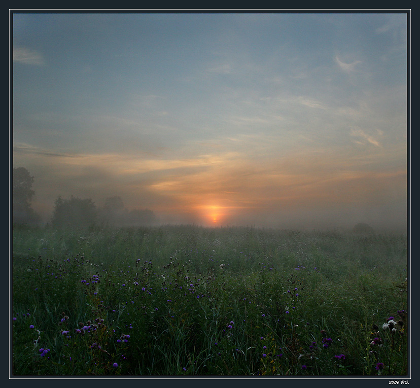 В поисках тишины