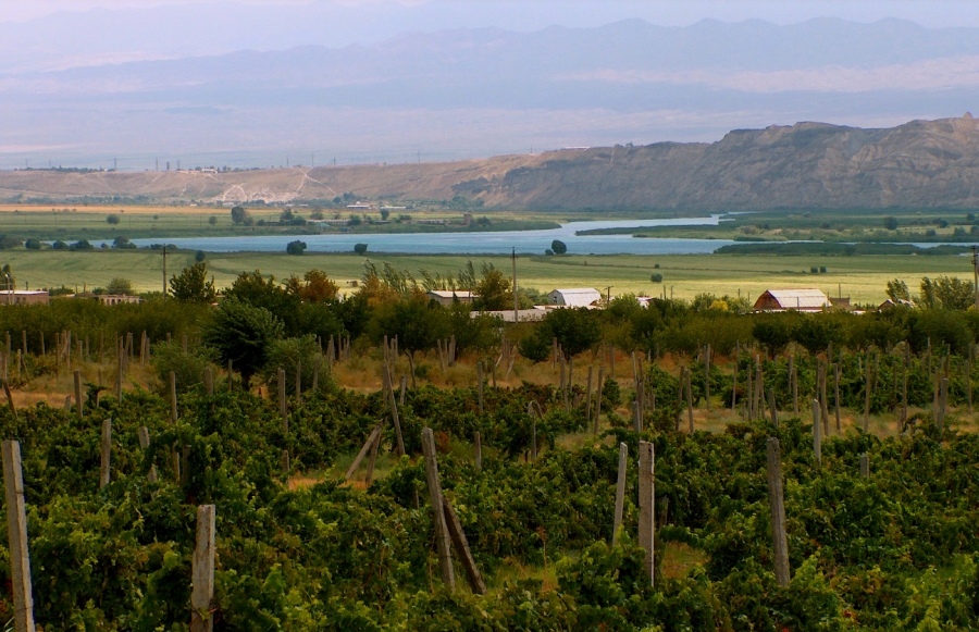 Кожны вінаградар павінен ведаць..