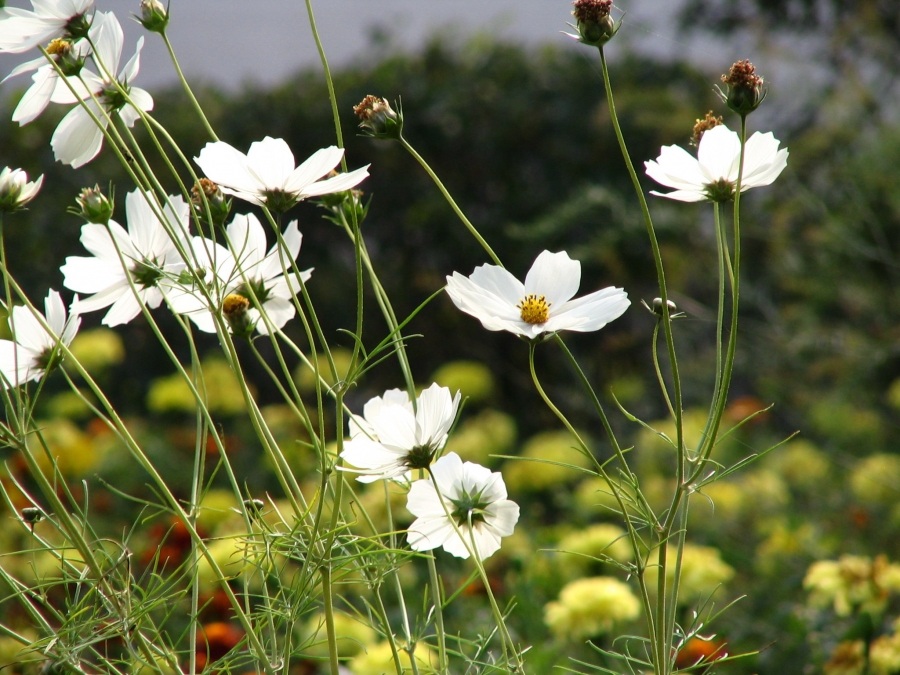 В теплых тонах