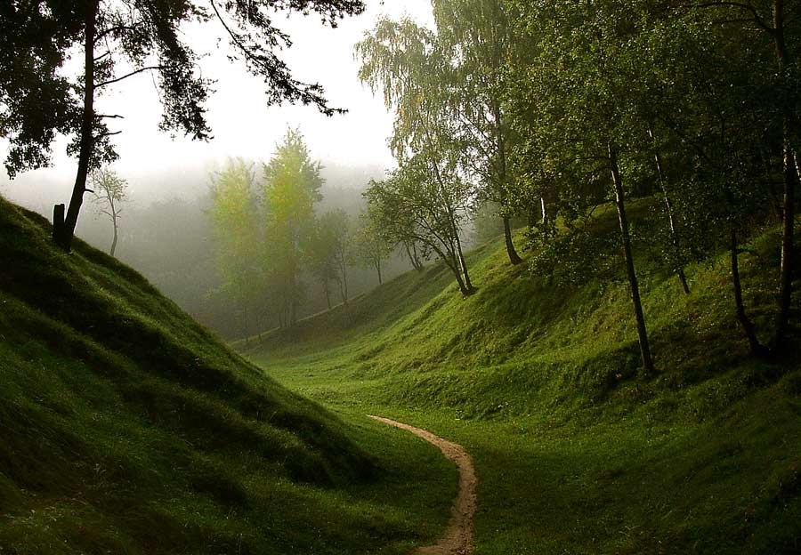 Луч света в темном овраге