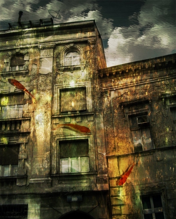 дом с утонувшими мечтами